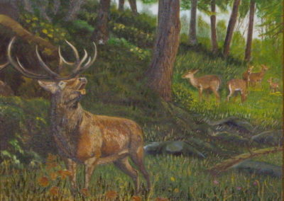 animal