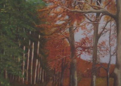 campagne