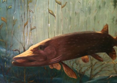 poisson