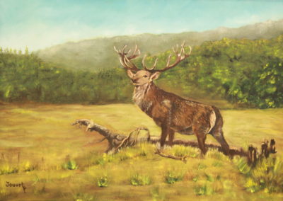 animal