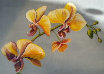 fleurs