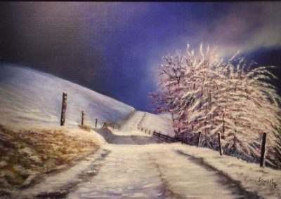 Neige en ardenne II