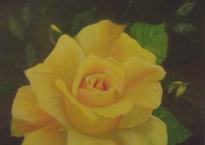 rose